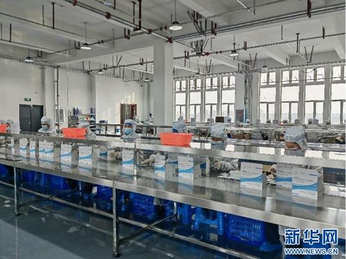 聚焦高質量發展 從熱詞到熱度——新質生產力引領的龍江網絡游戲開發實踐